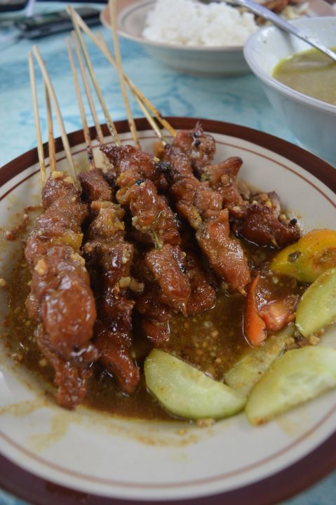 SATE BEBEK TUTI 4