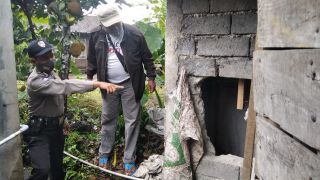 Pencurian burung murai