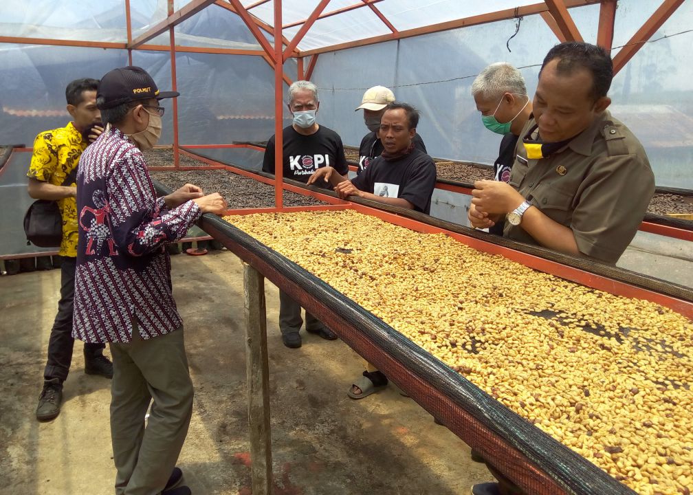 Kopi Gunung Malang Purbalingga