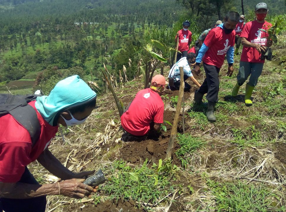 penanaman seribu bibit kopi di gunung malang