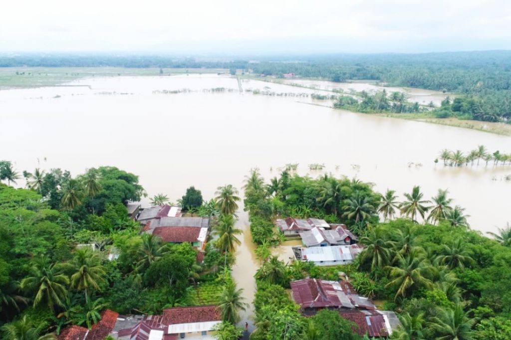 banjir menggenangi 50,35 Ha sawah di purbalingga