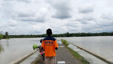 banjir di cilapar