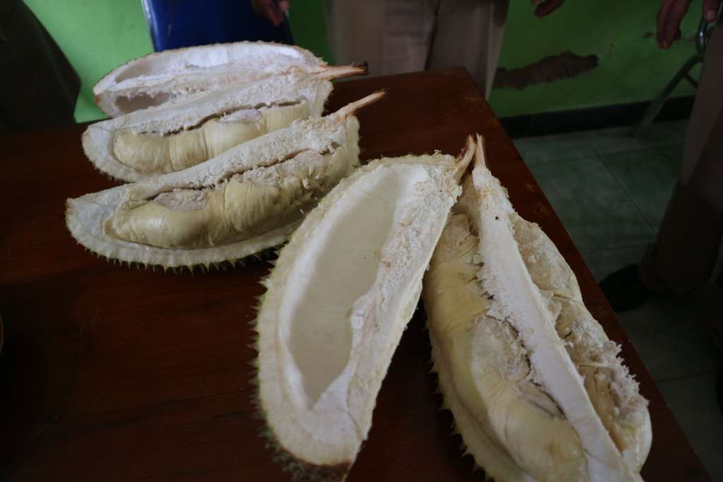 durian kartana dari Purbalingga