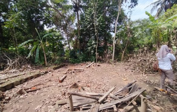 Lokasi pohon roboh diduga pemicu listrik padam di Desa Pandak Banyumas