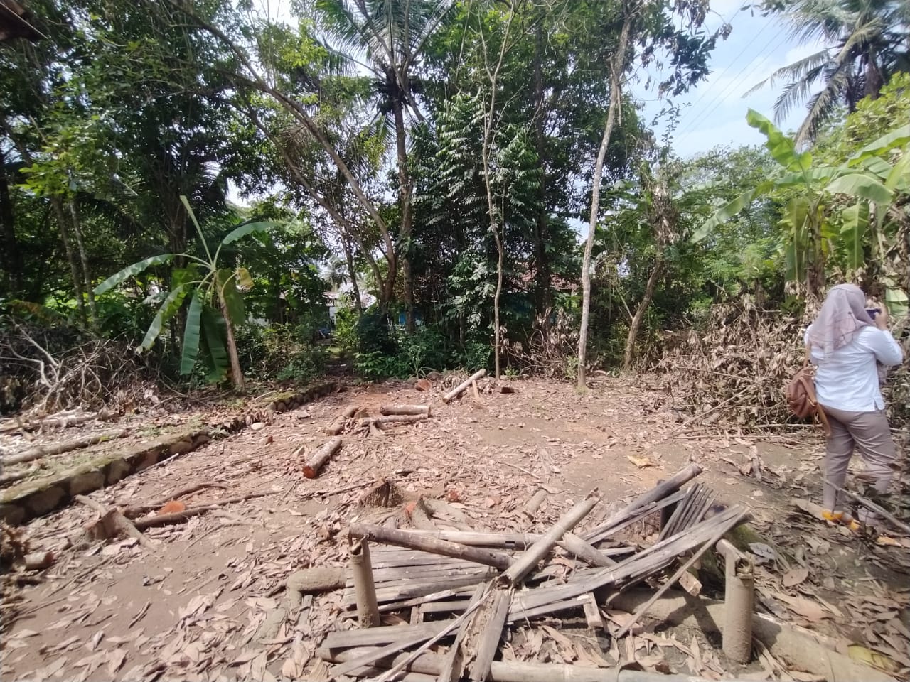 Lokasi pohon roboh diduga pemicu listrik padam di Desa Pandak Banyumas