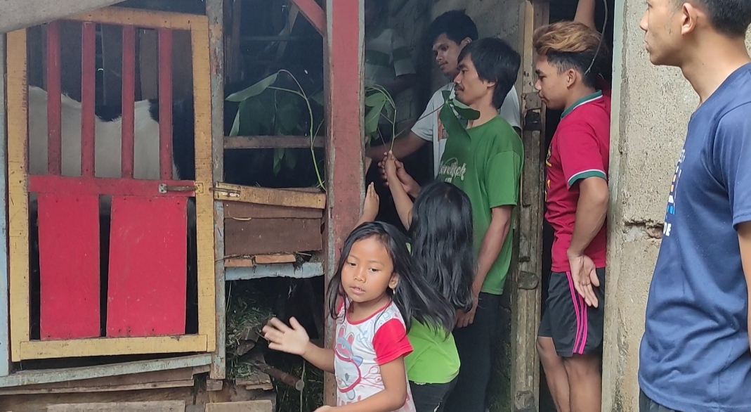 Pemuda desa Prendengan merawat kambing di kandang